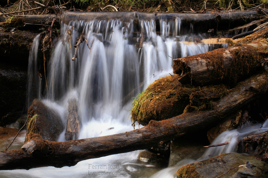 water power / la força de l'aigua