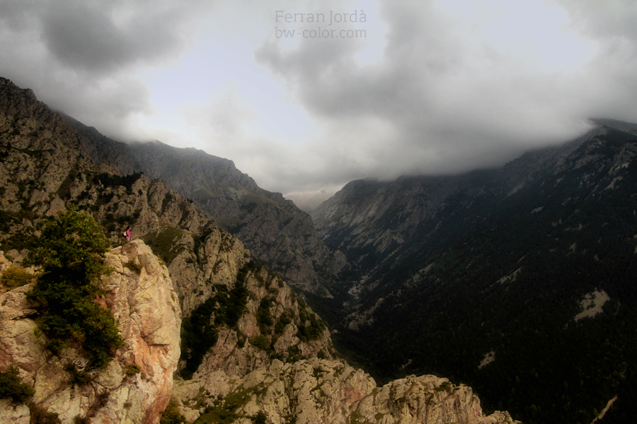 the look-out / el mirador