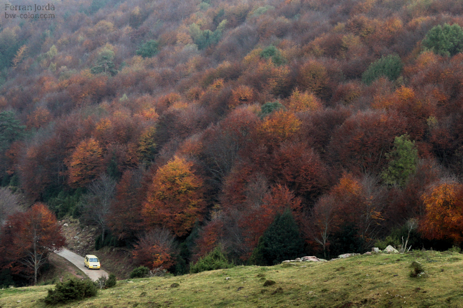 autumn sundays / diumenges de tardor